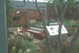 IM005119.JPG