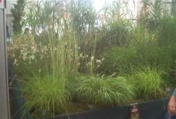 IM005140.JPG
