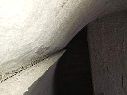 coom_10034030.jpg