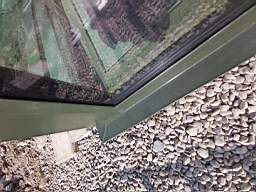 coom_10037310.jpg