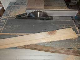 coom_10042430.jpg