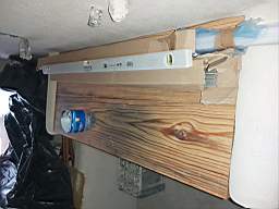 coom_10046300.jpg