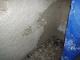 glenaphuca-2305.jpg