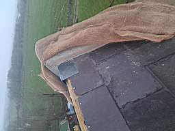 killeencastle-53930.jpg